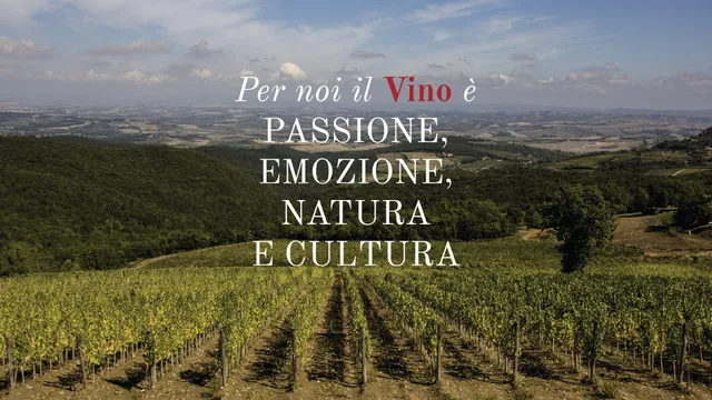 Carpineto Wines of Tuscany