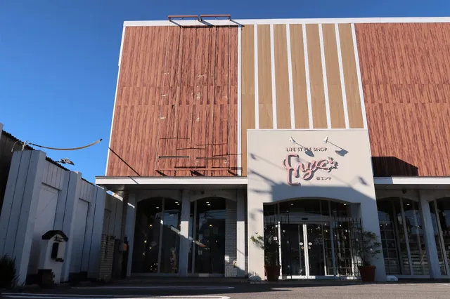 LIFE STYLE SHOP ENYA