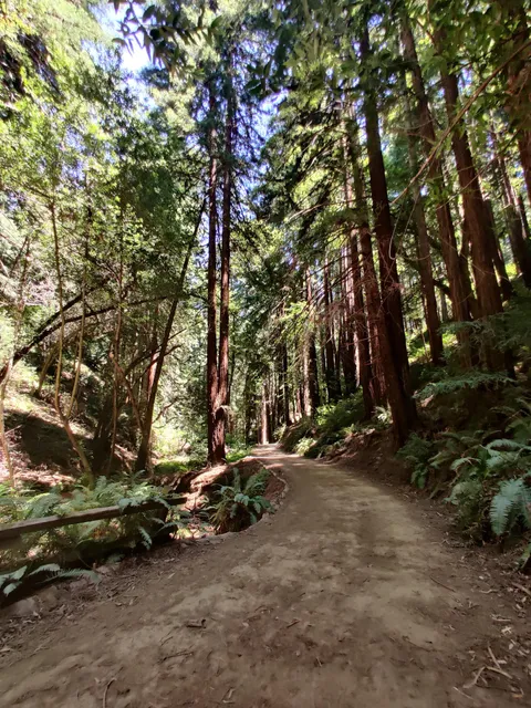 Sequoia Bayview Trail Trailhead