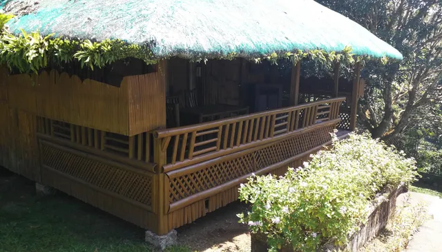 Oyster Forest Life Resort