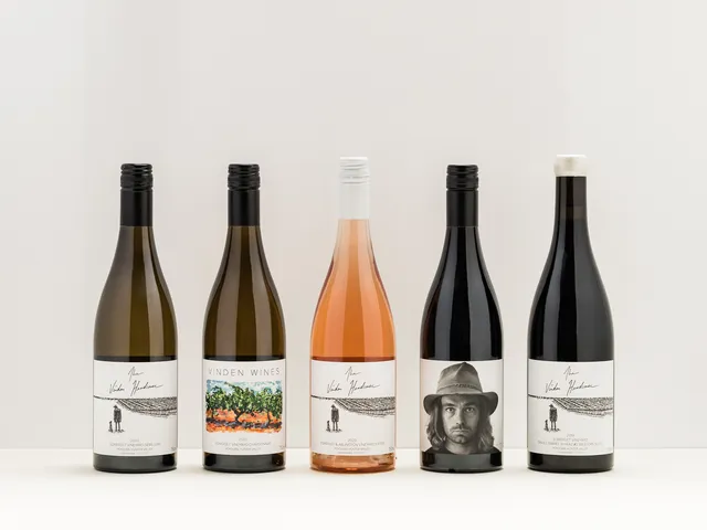 Vinden Wines