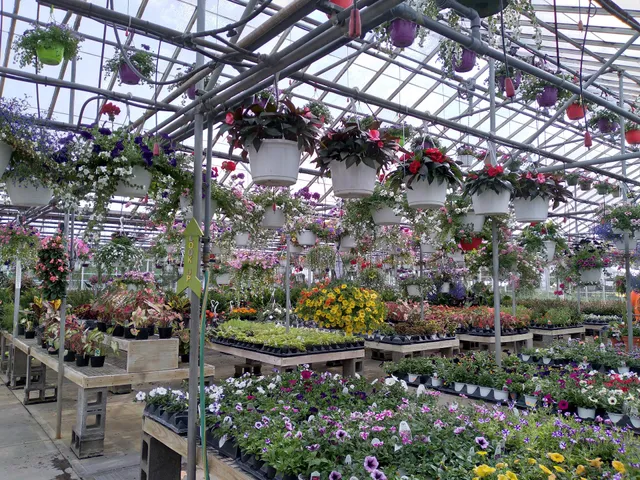 Pizzute’s Plant-N-Thyme