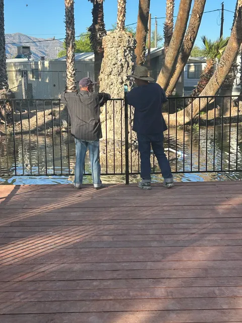 Desert Shores Estates MHP