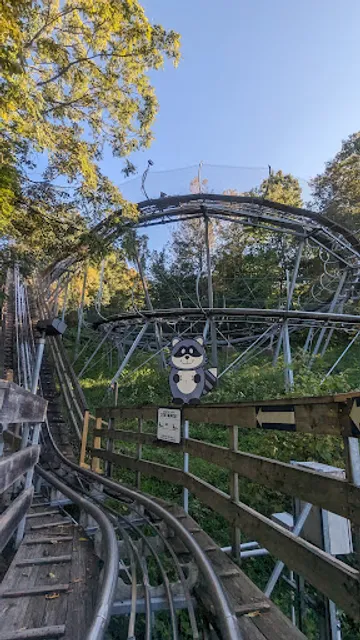 Alpine Mountain Coaster