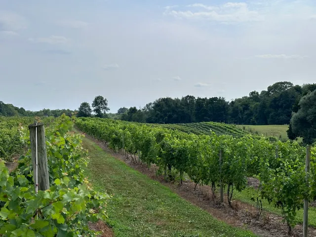 Hudson Valley Tours & Events