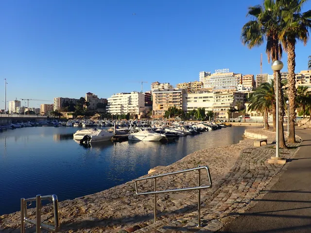 Dársena de Can Barbará