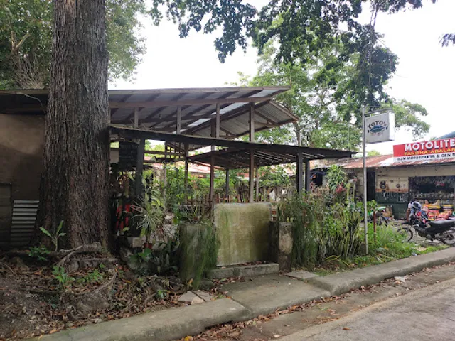 The Little Molmol Pizza