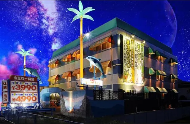 Dolphin Resort
