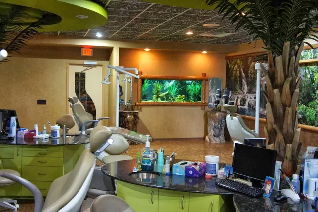 Aqua Creations I Custom Aquariums and Maintenance