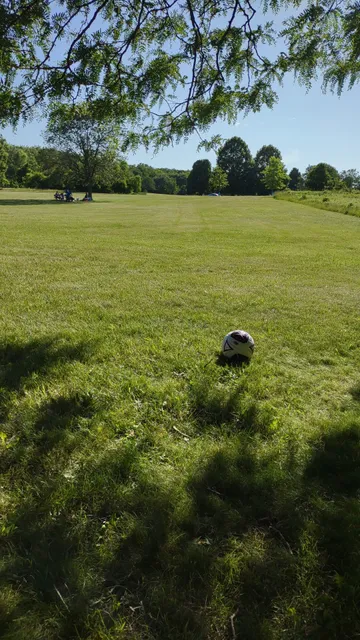 Deer Grove-East Picnic Grove #3