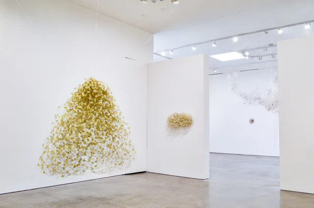 Barbara Davis Gallery