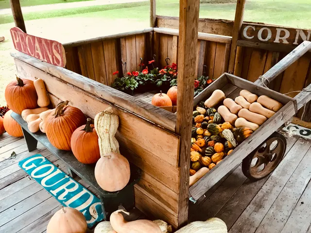 Albemarle Plantation