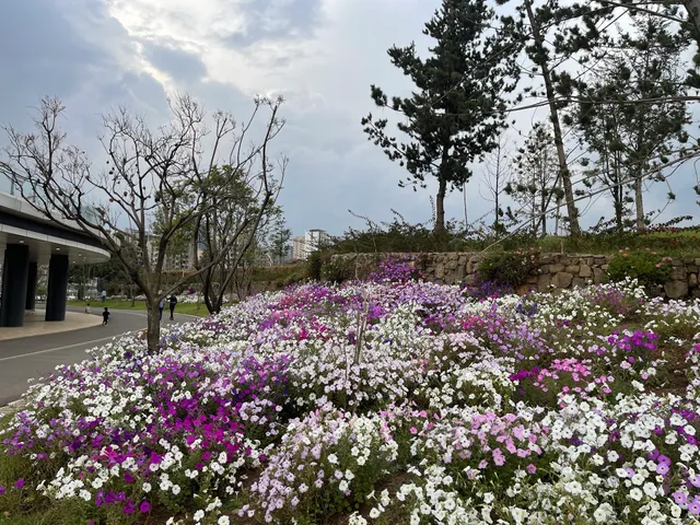የወዳጅነት አደባባይ መውጫ | Friendship square exit