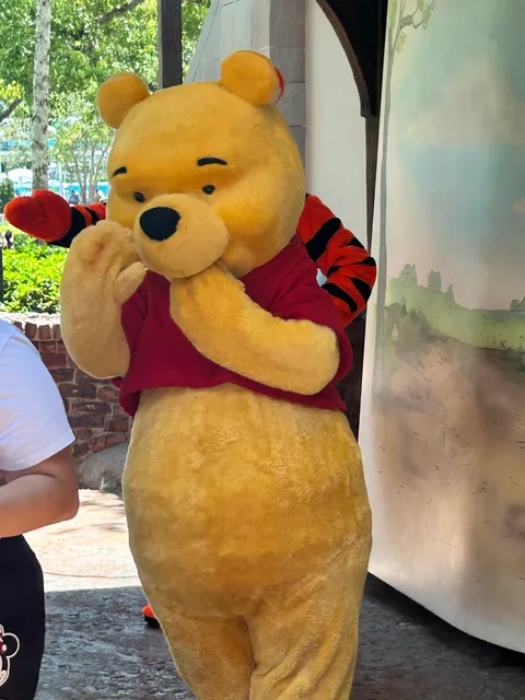 Meet Winnie the Pooh and Tigger in Fantasyland