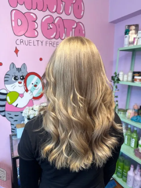 Manito de gato salon