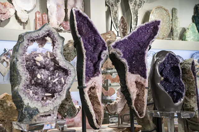 Empressive Earth Gallery