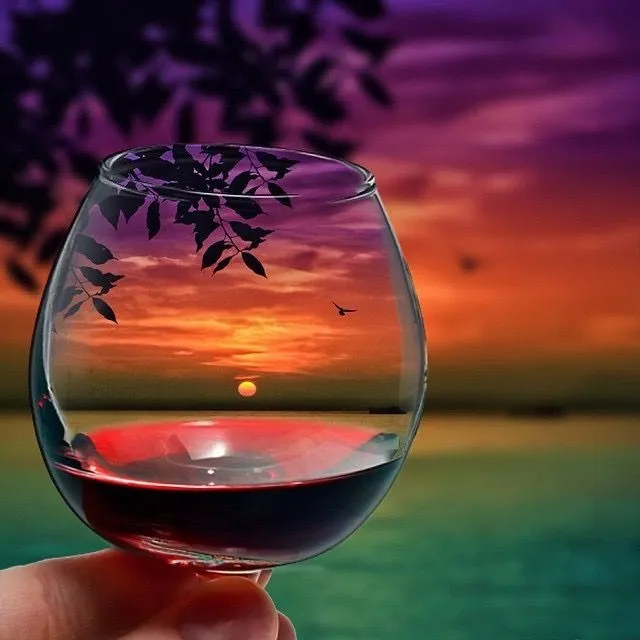 Alexandria's Fine Wines