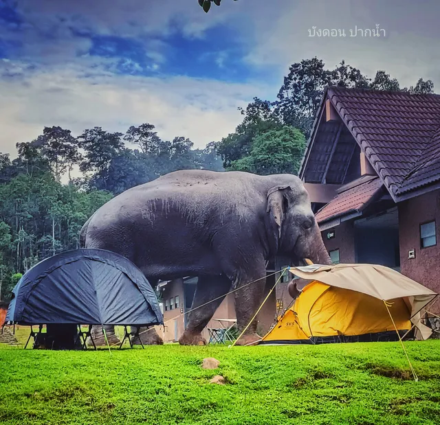 Lam Ta Khong Campground