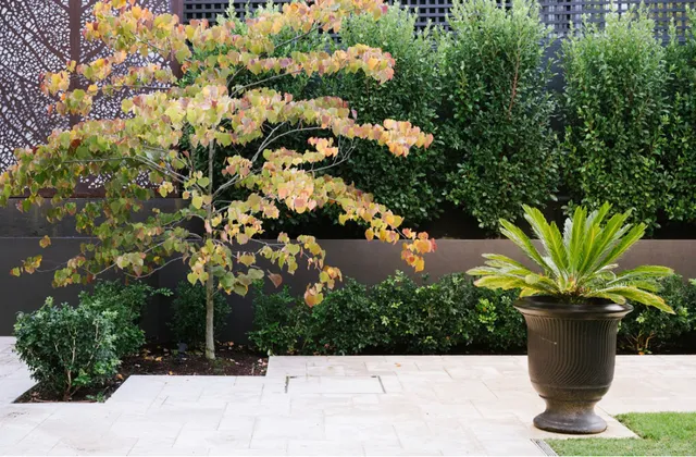 Jade Garden Design & Service