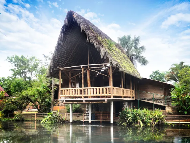 El Sueño del Coatí