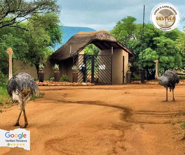 UKUTULA Lodge & Game Reserve