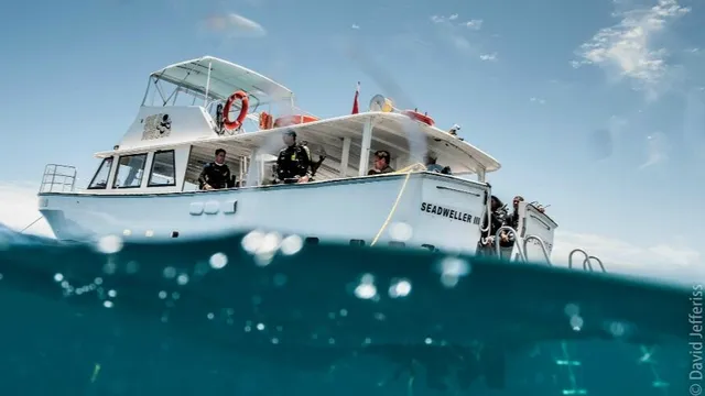 Sea Dwellers Dive Center of Key Largo