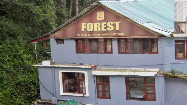 Hotel forest dalhousie