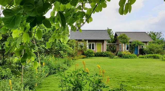 Fefe Garden Homestay