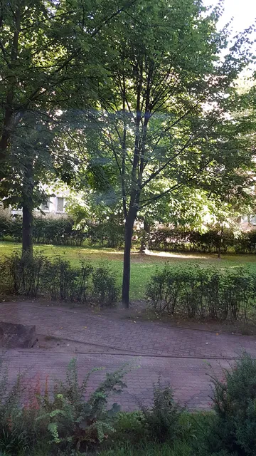 Apartment Saint Adalbert