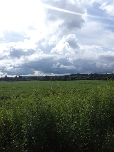 Sparrowbush Cottage B&B