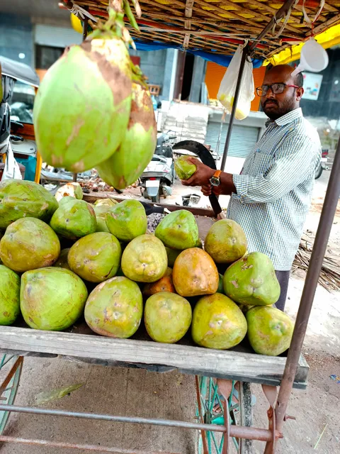 Coconut Wholesaler Kerala