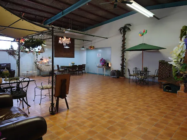 室内ドッグラン＆カフェ「ラッシーのおうち」