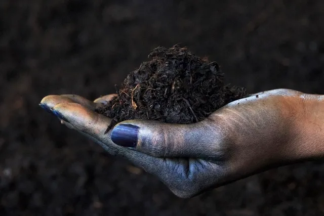 Organic Indigo Village おのころ藍 / 藍宿ル1185