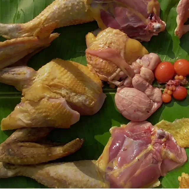 Greene Chicken - Saheera Proteins