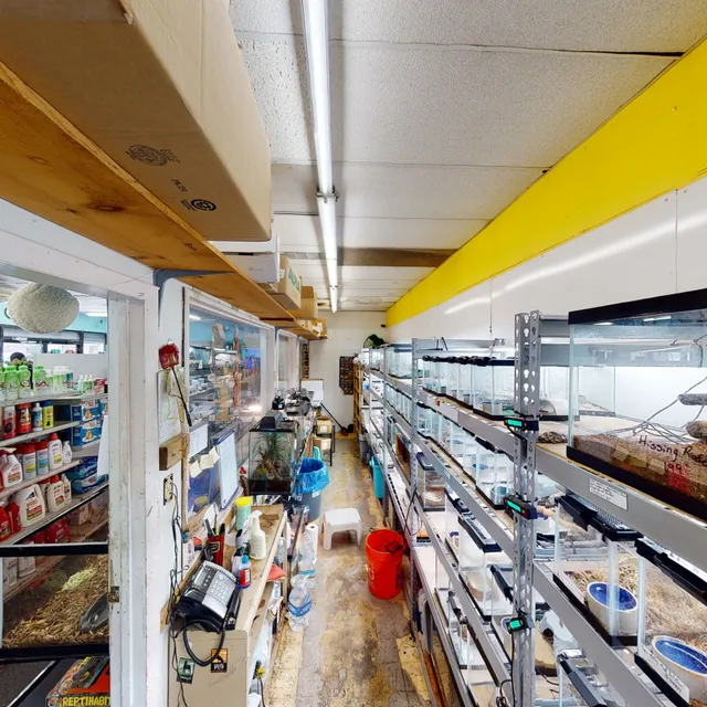 World Wide Aquarium & Pets