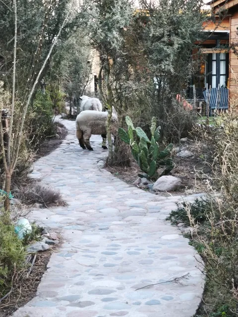 Cabañas Lupulito Lodge