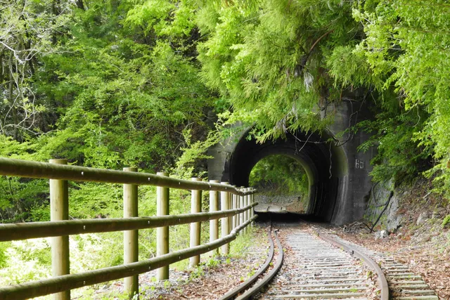 井川湖畔遊歩道•廃線小路