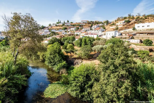 Algarve Holiday Lets - Welcome Tenderness Unipessoal Lda