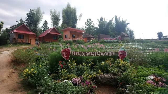 บ้านม่อนเนินดอย