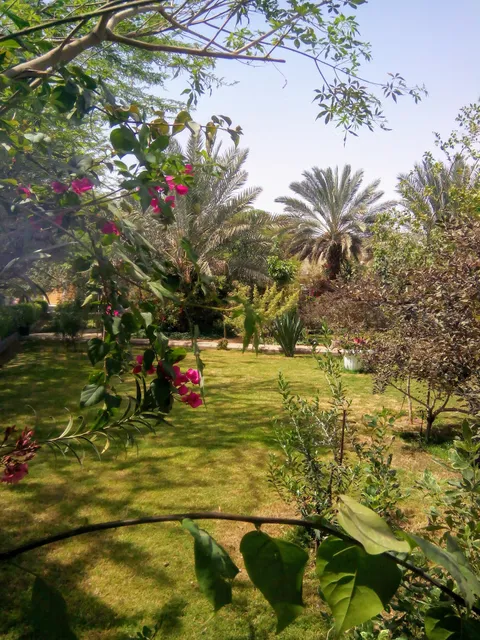 حديقة البطين