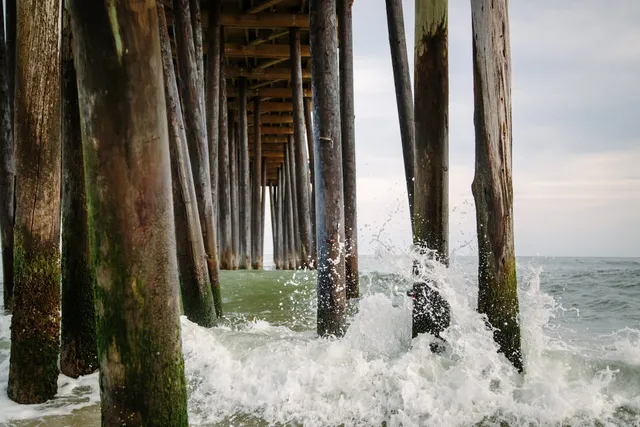 Kayfield Photography