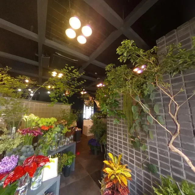 DENDA Flowers & Plants