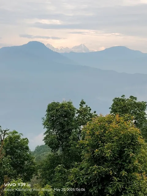 Tranquil Hill Top Home Stay