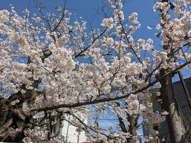 Senbara children's amusement park
