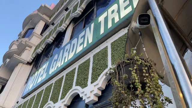 Hotel Garden Tree