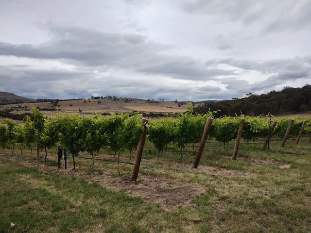 StelaVino Wine Tours