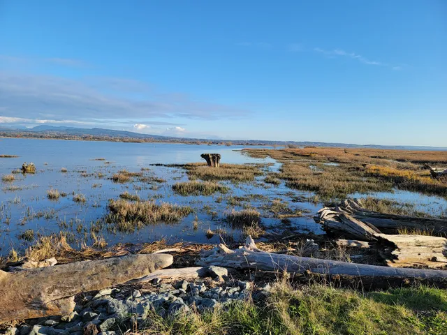 Skagit Wildlife Area - Fir Island Farm Unit