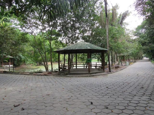 INPA-National Institute for Amazonian Research