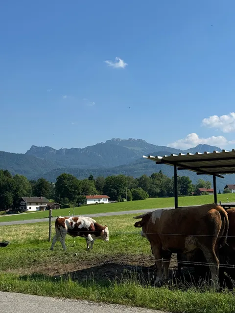 Ferienwohnung Thalhammer