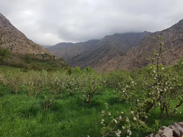 Toubkal Views